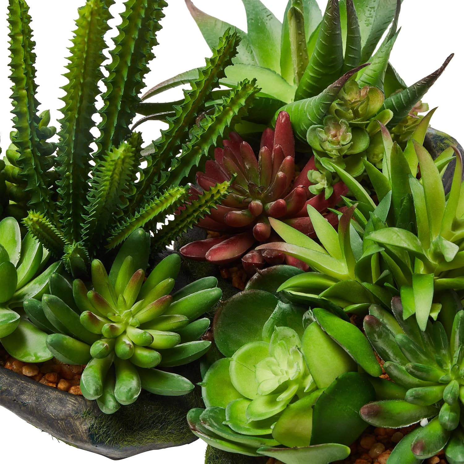 Pure Garden Artificial Succulent Plants 3-Piece Set