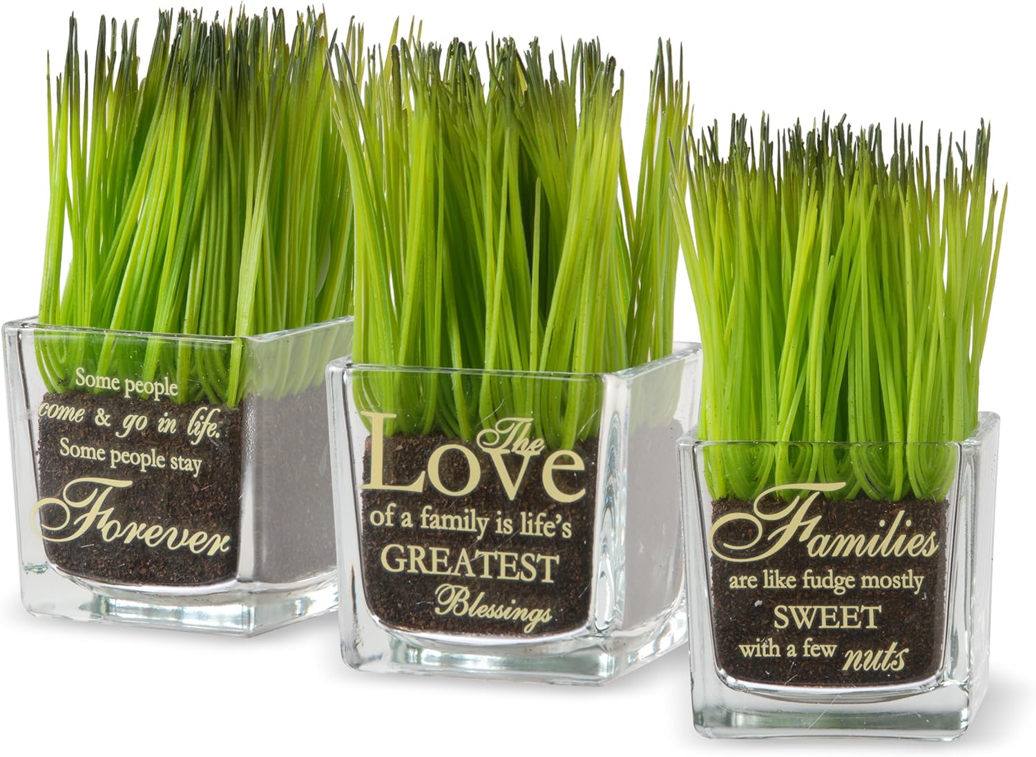 National Tree Company Plant Decor Set with Glass Cups