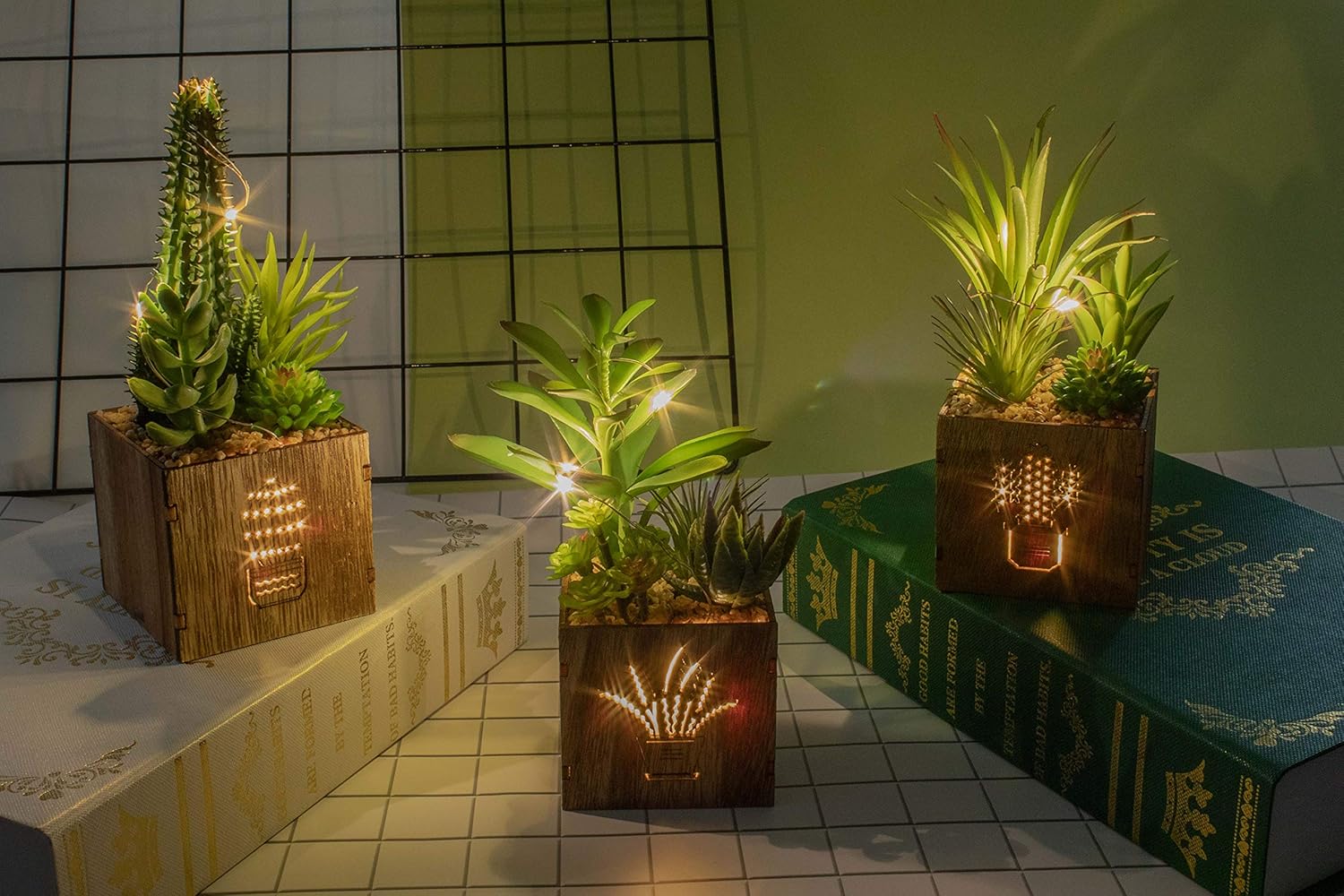 BEGONDIS 3 Piece Artificial Succulent Set with LED Lights