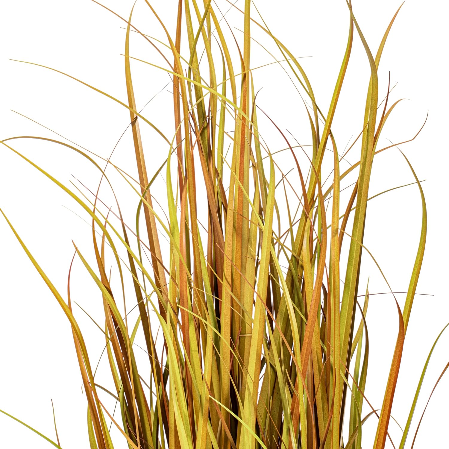 Vickerman 60 Inch Artificial Mixed Brown Grass with Black Pot